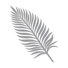 Obraz premium Gray palm leaf graphic (1)