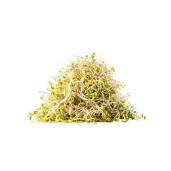 Fresh Alfalfa Sprouts Pile, Healthy Vegan Food Ingredient