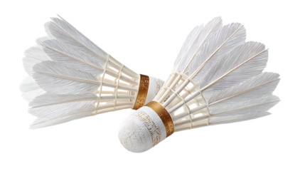 Two white shuttlecocks for badminton with feathered tips isolated on white background. 