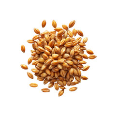 High-Angle Close-Up of a Pile of Spelt Grains on a Black Background