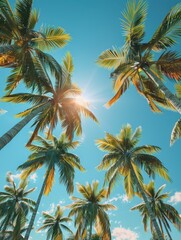 Sunlit Palm Trees Under Clear Blue Sky with Vibrant Green Leaves