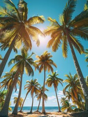 Lush Tropical Paradise with Tall Palm Trees and Clear Blue Sky