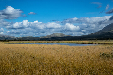 Lake in the marsh Fokstumyra, a nature reserve in Dovre mountains, Norway