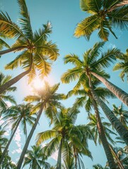 Lush Tropical Palm Trees Reaching Towards Bright Blue Sky
