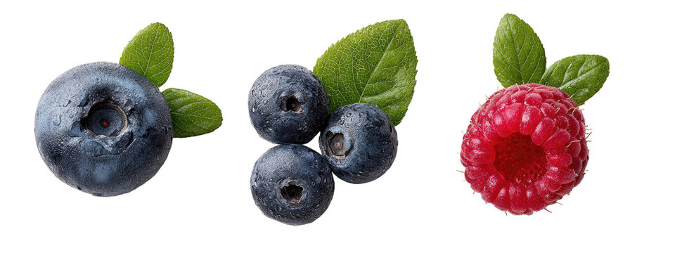 Close-up of blueberries and raspberries with leaves - Powered by Adobe