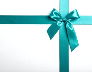 Teal ribbon bow on white background (1)