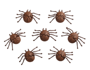 Chocolate spider cookies pattern isolated on transparent background
