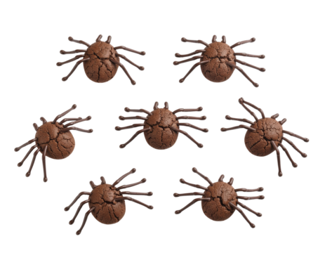 Chocolate spider cookies pattern isolated on transparent background