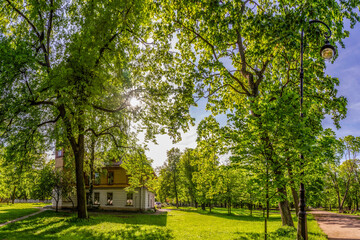 Summer day in Kamenny Island Park with backlight through green foliage illuminating lawns and neoclassical Bekhterev mansion under blue sky. Saint Petersburg, Russia.
