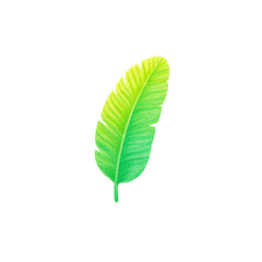 Fototapeta premium Vibrant green leaf illustration on black background, cut out