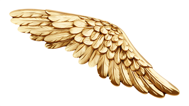 Gleaming Golden Angel Wing with Softly Defined Feathers on Background golden wing isolated on a transparent background