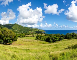 Obraz premium Lush landscape overlooking a coastline
