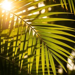 Close-up of a vibrant palm frond, illuminated by sunlight, showcasing intricate details and a warm, tropical atmosphere.