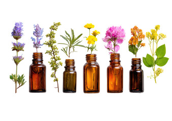 Amber bottles hold sprigs of vibrant herbs and flowers