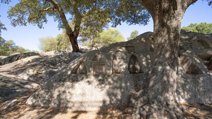 Ancient rock-cut altar with multiple niches under oak trees in Sardinia