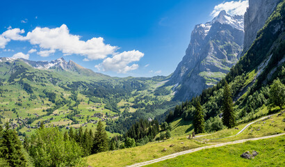 P6280805-Pano.dng
