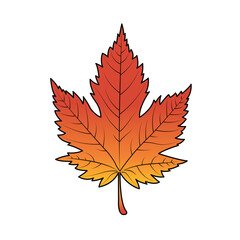 A Vibrant Autumn Maple Leaf Rich Red To Gold Hues Isolated On White Background Vector Illustration