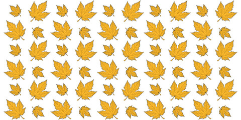 Autumn Yellow Maple Leaf Seamless Pattern Design Isolated On White Background Vector Illustration