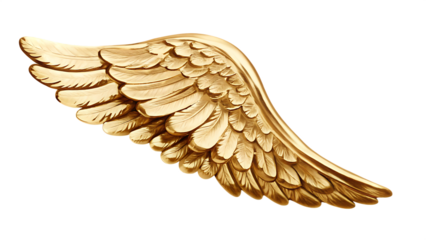 Ornate Golden Angel Wing with Textured Feathers on Background golden wing isolated on a transparent background