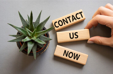 Contact us now symbol. Wooden blocks with words Contact us now. Beautiful grey background with succulent plant. Businessman hand. Business and Contact us now concept. Copy space.