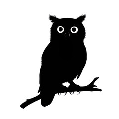 Silhouette of the owl isolated on transparent background