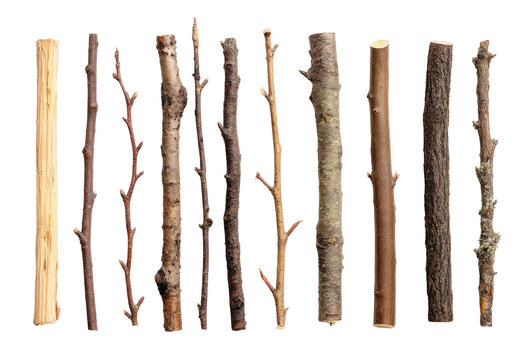 Various wooden sticks, different shades of brown and tan, arranged in a row.  Each stick has unique textures and branch patterns