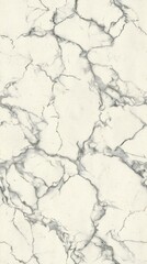 Fototapeta premium A seamless tile with a marble-like pattern features a white background and gray veining, resembling natural stone.