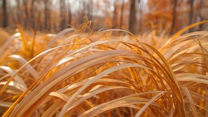 Golden autumn grasses swaying gently in the sunlight