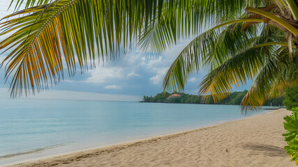 Fototapeta premium Tropical beach with palm trees by the ocean under a sunny sky