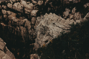 Rugged rock formation with dark vegetation under a cloudy sky. A dramatic landscape showcases a sharp, textured rock formation against a muted sky, with hints of greenery. Moody nature.