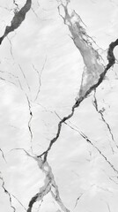 Fototapeta premium A white marble effect pattern with intricate organic veins, varying in thickness and direction,