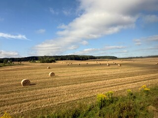 Campo de trigo após a colheita na Polônia