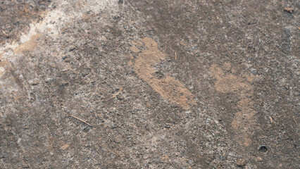 Top view of two footprints on muddy rocky ground with copy space, rustic texture background ideal for travel, adventure, and nature themes.
