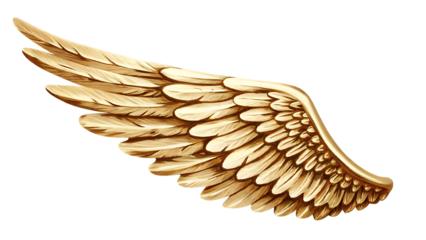 Single Golden Angel Wing with Detailed Feathers on Background golden wing isolated on a transparent background