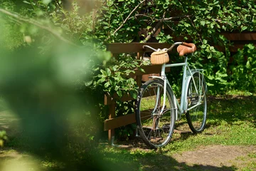 Fototapeten Fahrrad Vintage bicycle leaning against wooden fence under leafy green trees, wicker basket attached to handlebars, sunlight filtering through branches, lush garden setting, no people visible  © pressmaster