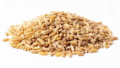 Farro Grains on Isolated White Background &ndash; Hearty Italian Wheat with Chewy Texture and Warm Lighting