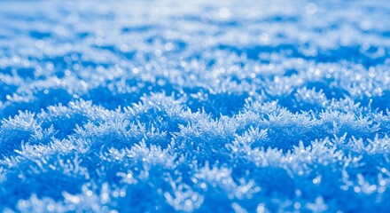 Obraz premium Frost crystals macro photography in blue tones on textured background