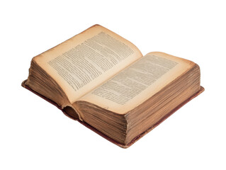 Obraz premium Kousa dogwood bumpy red fruit on a tree branch png