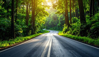 Obraz premium Scenic Road Through Lush Green Forest with Sunlight Filtering Through Trees.