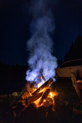 Campfire in the forest. 