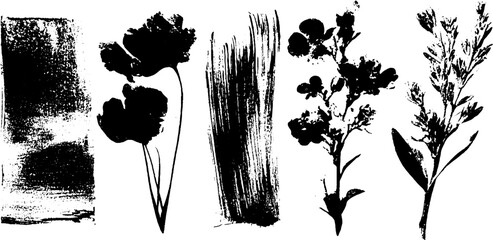 Black ink silhouette collection of spring flowers and botanical elements for artistic designs