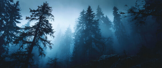 Enigmatic silhouettes of pine trees shrouded in a dense blue fog