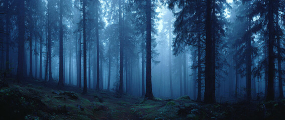 Obraz premium Enigmatic blue forest path shrouded in mist perfect for fantasy or mystery themes