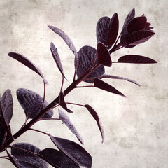  old paper background