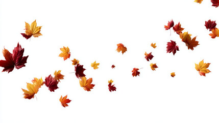 Animation design for autumn leaves that fall. Maple leaves in the fall against a white background. design element of isolated autumn leaves. An isolated background of falling autumn leaves on a white 