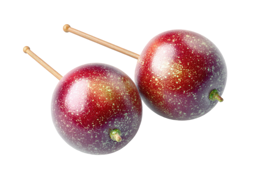 Two round, red-purple fruits,  imbued with speckles of gold, are skewered on light brown sticks