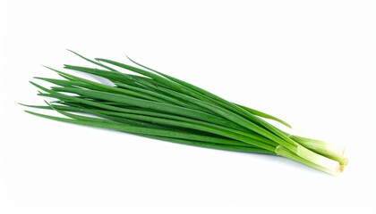 Garlic Chives on Isolated White Background &ndash; Flat Leaf Allium with Garlic Flavor and Glossy Surface