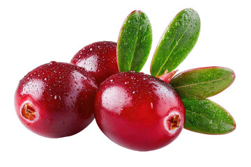 Fresh cranberries with leaves, close-up