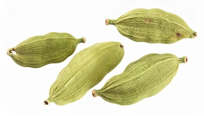 Green Cardamom Pods on Isolated White Background &ndash; Aromatic Spice with Pale Green Color and Botanical Composition