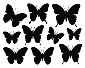 Fototapeta premium Collection of Elegant Butterfly Silhouettes Against a White Background - Black Crown EPS